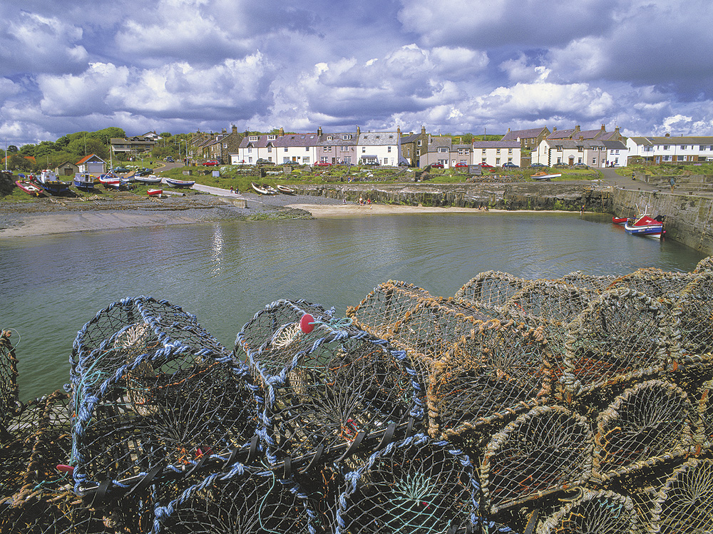A Coastal Escape Filled With Northumberland Charm: Discover Proctors Stead Caravan Park