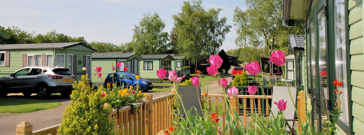 Bradley Burn Farm: A Peaceful Escape in the Heart of the Durham Dales