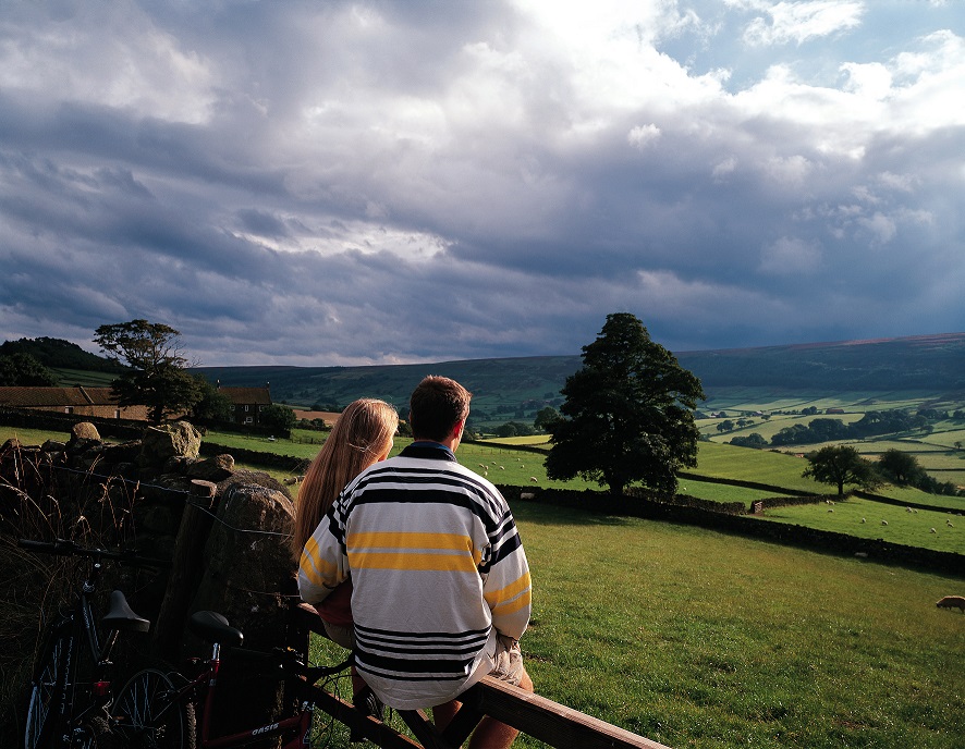 Willerby Malton New Static Caravans and Holiday Homes for Sale, Ripley